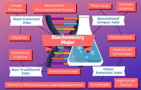 12 Biochemistry Jobs For Biochemistry Majors The University Network
