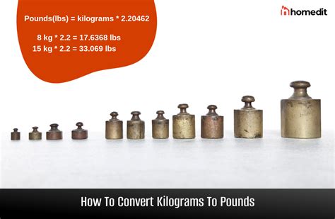 Convert 12 Kilos in Pounds Fast and Accurately