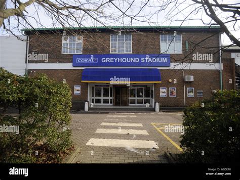 145 Brighton And Hove Greyhound Stadium Stock Photos High Res Pictures