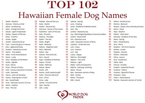180 Hawaiian Dog Names Their Meaning 180 Hawaiian Dog Names Their Meaning