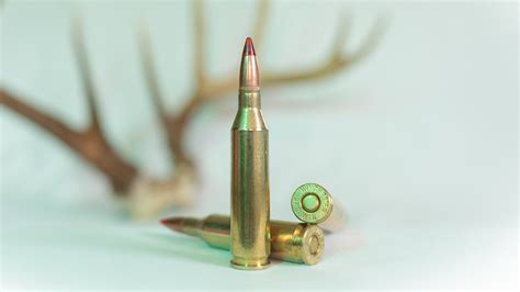 243 Winchester