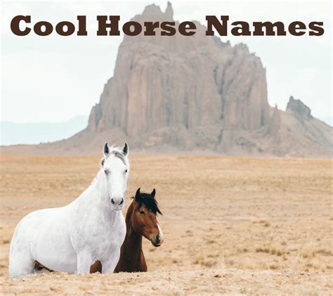 250 Really Cool Horse Name Ideas Pethelpful 250 Really Cool Horse Name Ideas Pethelpful