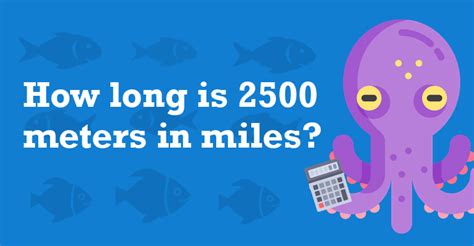 2500 Meters In Miles 2500 M To Mi 2500 Meters In Miles 2500 M To Mi