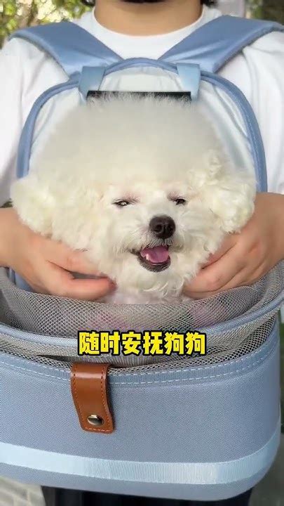 3D Backpack Breathable And Not Stuffy Comfortable For Dogs And Easy