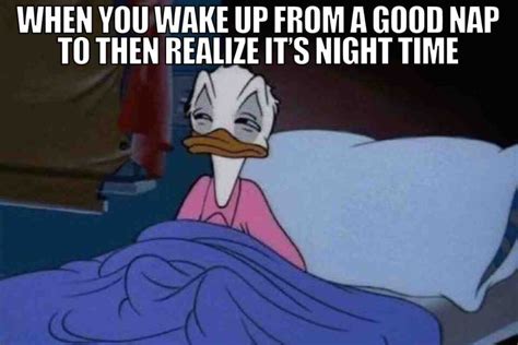 40 Best Nap Memes About Those Mid Day Sleeps