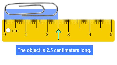 Convert 5'2 to Centimeters: Accurate Measurement Insight