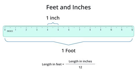 5'7 in Inches: Surprising Facts Unveiled!