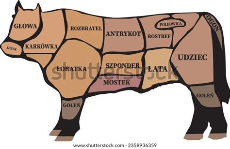 679 Beef Cuts Names Royalty Free Images Stock Photos Amp Pictures