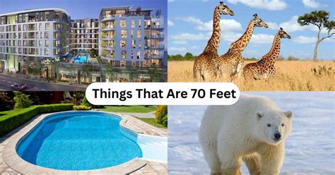 Convert 70 Inches to Feet: Simple and Professional Conversion Guide