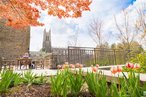 A New Life Wandering Places To Stay In North Carolina Durham Charlotte Wilmington Asheville And Chapel Hill Sydney Aaliyah Michelle