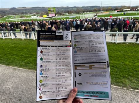 A Very Simple Guide To Reading A Race Card Ladies Day