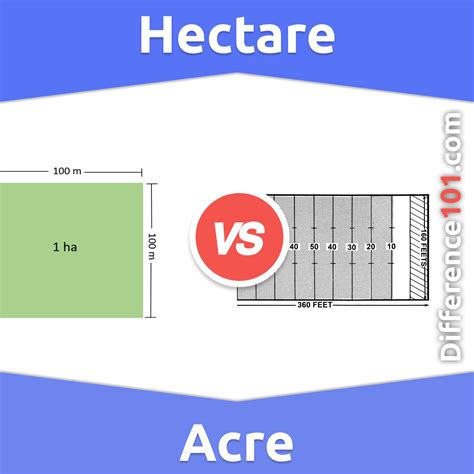 Acre vs Hectare: Simple Guide to Land Measurement Comparisons