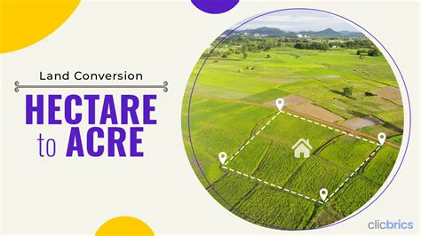 Convert Acres to Ha: Easy, Accurate Formula!