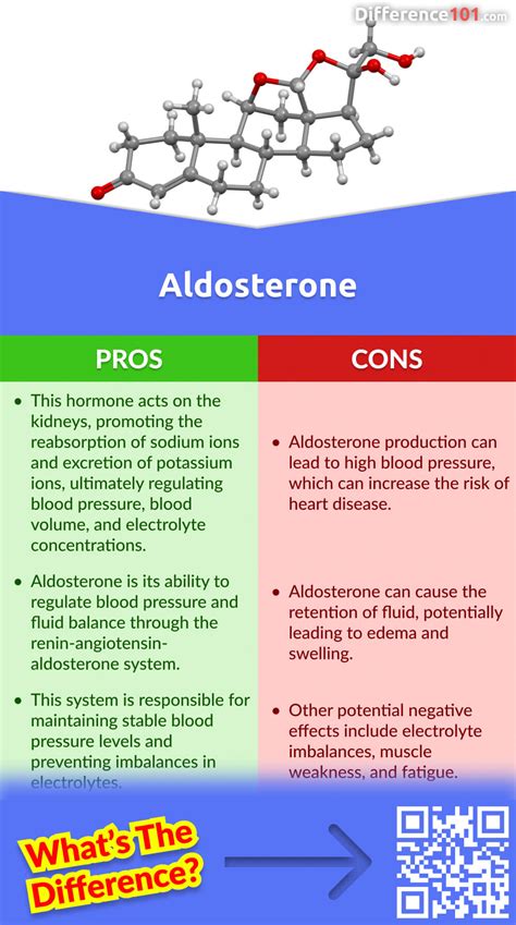 AdH vs Aldosterone: Key Differences in Hormone Regulation Uncovered