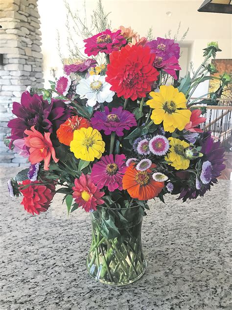Alberta Farm Fueled By Flower Power The Western Producer
