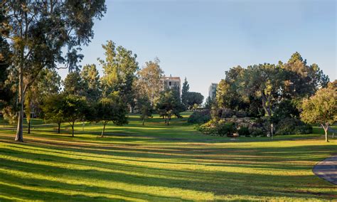 Discover Aldrich Park's Hidden Secrets