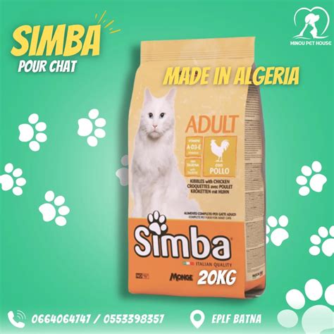 Best Algeria Adult Chat Platforms Reviewed