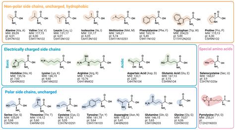 All About Amino Acids