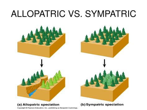 Allopatric vs Sympatric Speciation: Unveiling Nature's Evolutionary Secrets