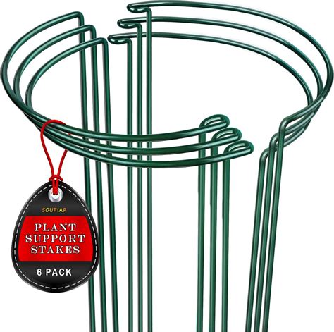 Amazon Com Plant Support Stakes 6 Pack Versatile Half Round Plant