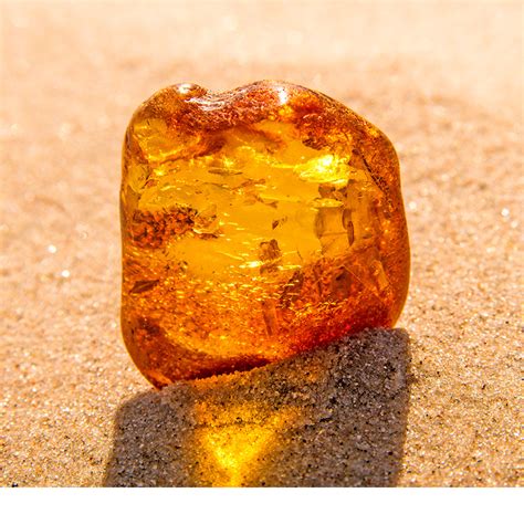 Amber Explained In The Jewellery Encyclopedia Amber Explained In The Jewellery Encyclopedia