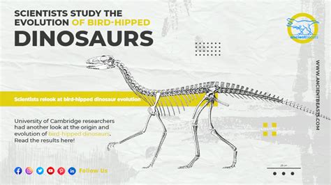 Amp 39 Bird Hipped Amp 39 Jurassic Dinosaur Was One Of The First To Live In Herds
