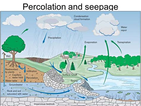What An Image Of Percolation Reveals About Fluid Flow Patterns