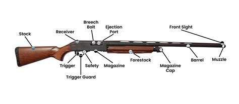 Anatomy Of A Shotgun Rugged Life