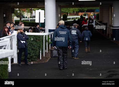 Ascot Berkshire Uk 2Nd October 2021 The Vets And Farriers Were