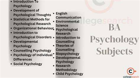 BA Psychology: Top Career Paths Explained