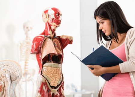 Bachelor Of Health Science Chinese Medicine Torrens University