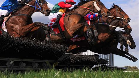 Bbc Taster Bbc Sport Horse Racing Results