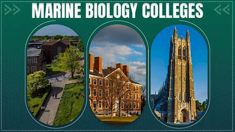 Top-Rated Colleges for Biology Majors Revealed