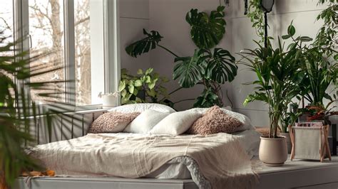 Best Home Ideas for a Cozy and Stylish Space