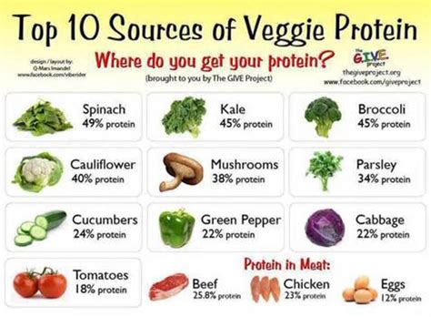 Best Vegetable Protein Sources