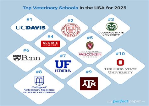 Best Veterinary Schools In The U S