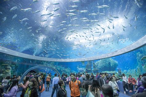 Biggest Aquarium In The World