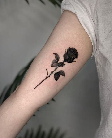 Black Rose Tattoos Tattoos Tattoo Designs
