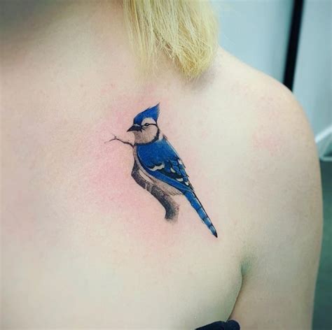 Blue Jay Bird Tattoo Http 99Tattoodesigns Com Blue Jay Bird Tattoo Blue Jay Bird Tattoo Http 99Tattoodesigns Com Blue Jay Bird Tattoo