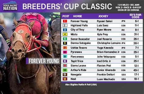 Breeders Cup Classic Post Positions 2024 Full List Of Runners And Riders For Huge Race At Del Mar