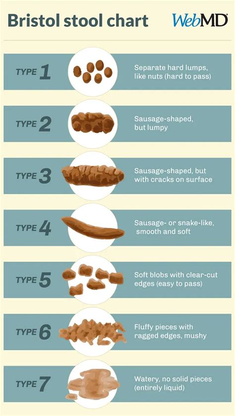 Bristol Stool Chart Types Of Poop And What They Mean