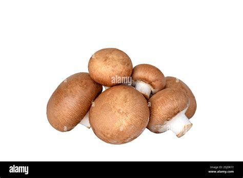 Brown Cremini Mushrooms Stock Photo Alamy