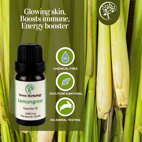 Buy Lemongrass Essential Oil Shastrafy