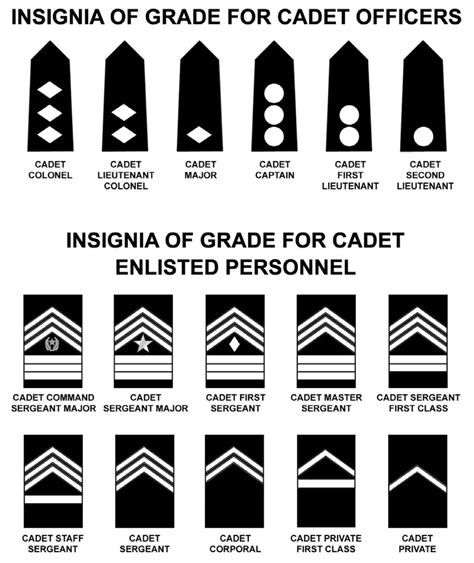 Cadet Army Ranks