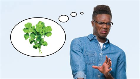 Can A Gene Cause Cilantro To Taste Like Soap