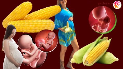 Can I Eat Corn While Pregnant The Risks Of Corn During Pregnancy