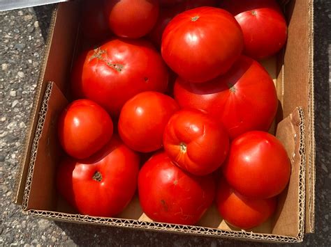 Canning Tomatoes 1 2 Bushel