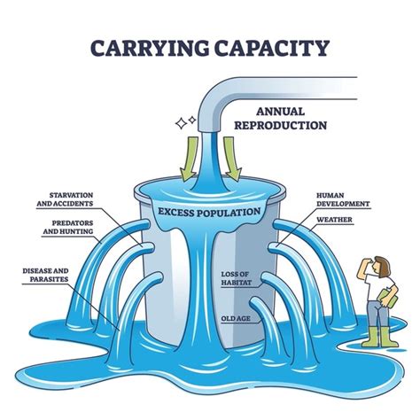 Exploring Real-World Carrying Capacity Examples for Sustainable Growth