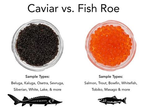 Caviar Fish Eggs