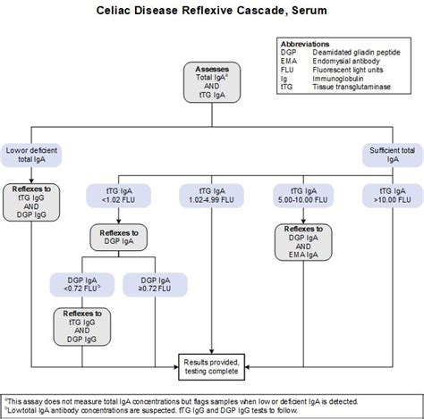 Celiac Disease Reflexive Cascade Serum Test Fact Sheet